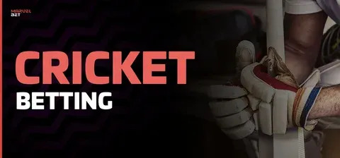 bingo online roulette 