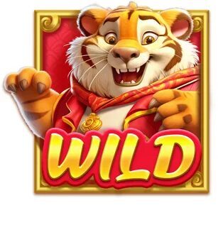 bingo online video call 