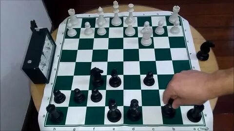cassino apostas esportivas 