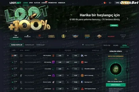 jogo do tigrinho 360 