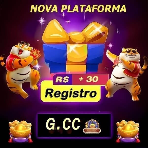 plataforma nova para apostas esportivas 