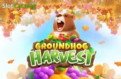 qual o resultado do jogo do bicho da paraíba 