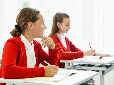 roleta com cores 