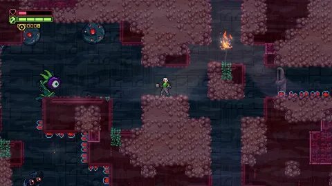 sereia bet 